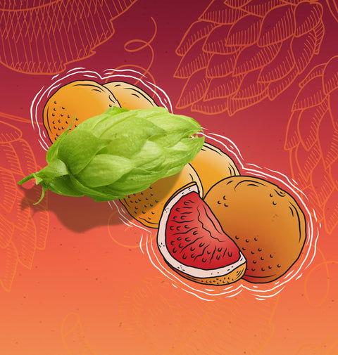 Amber Amarillo® : A Golden Hour Hop