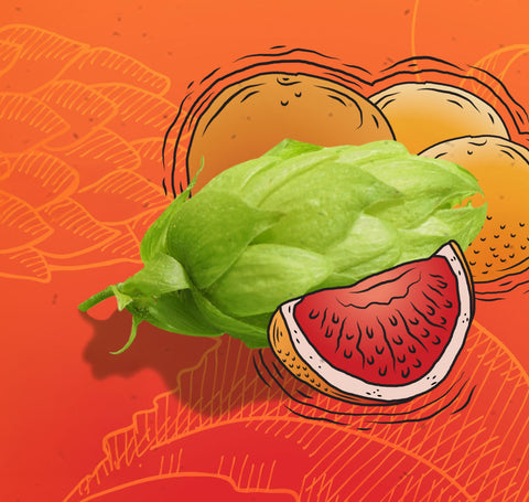 Coastal Cascade: Where Flavor Flows