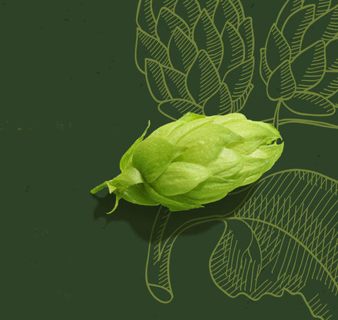 Courageous Centennial: A Hop With Purpose