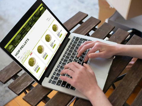 A Beginner’s Guide to Buying Hops Online