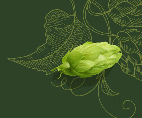 Cosmic Comet: A Hop That’s Out of This World