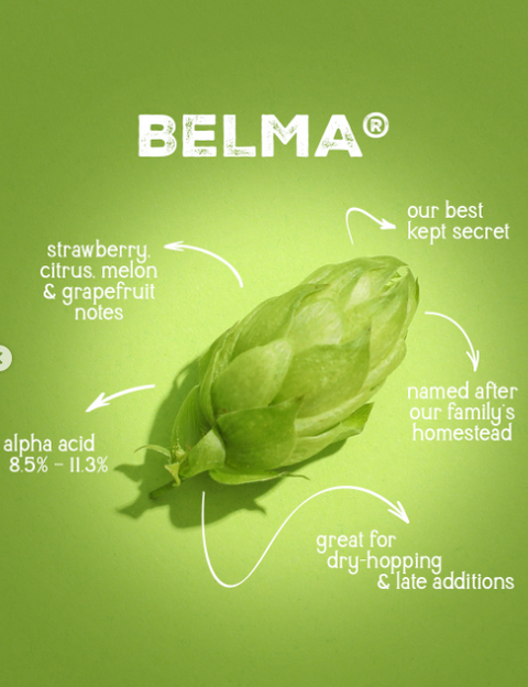 BELMA® - 2025 Leaf