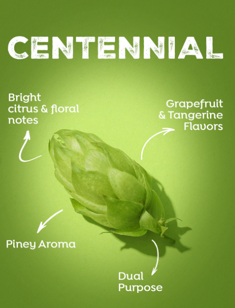 CENTENNIAL - 2025 Leaf