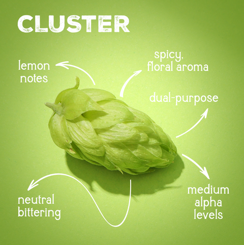 CLUSTER - 2025 Leaf