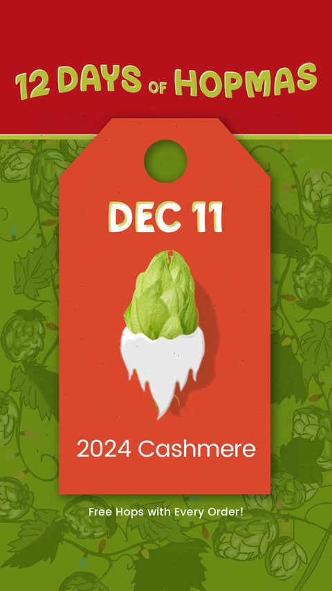 CASHMERE - 2024 Pellets