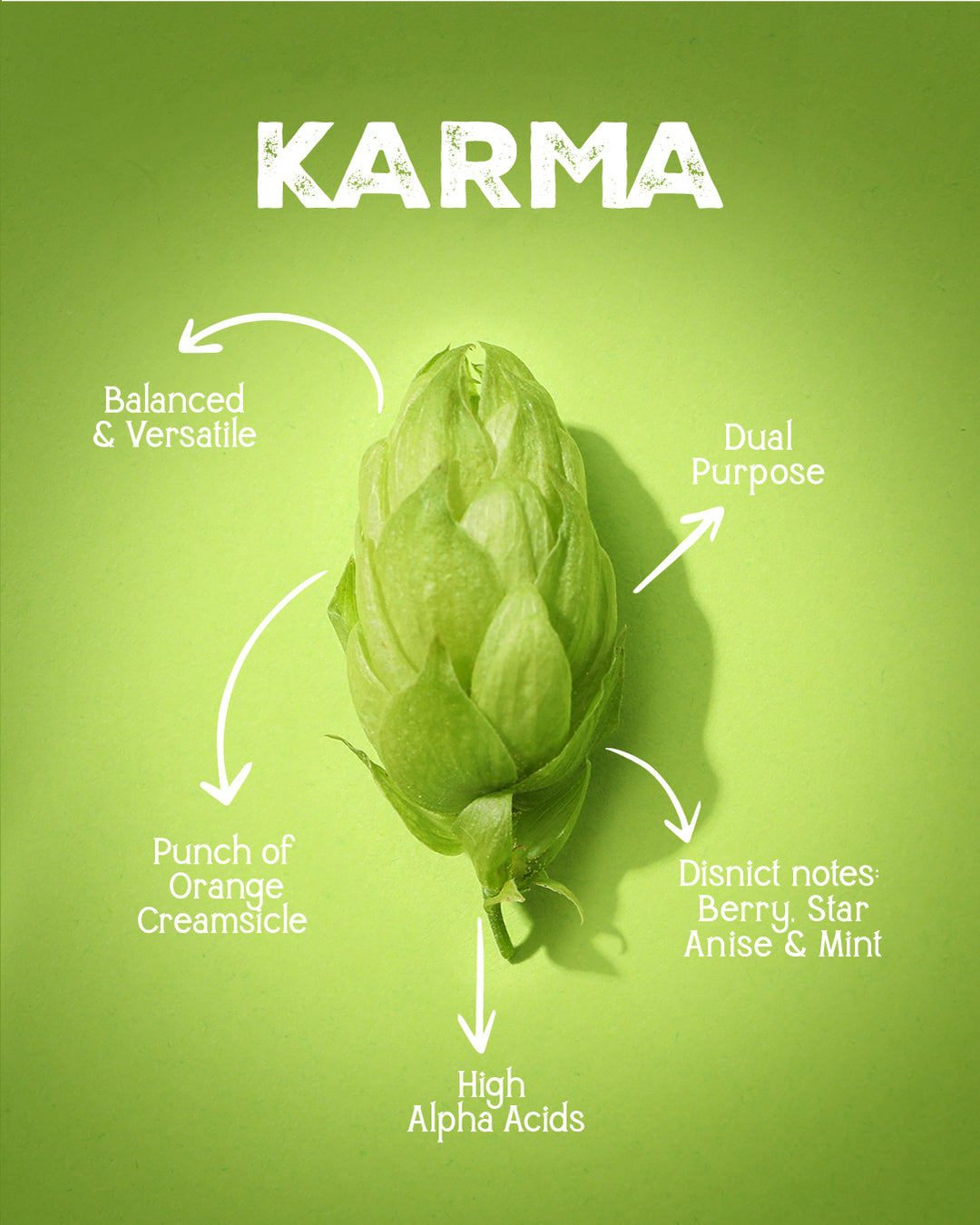 KARMA™ EXP25 Hops | Leaf | Hops Direct