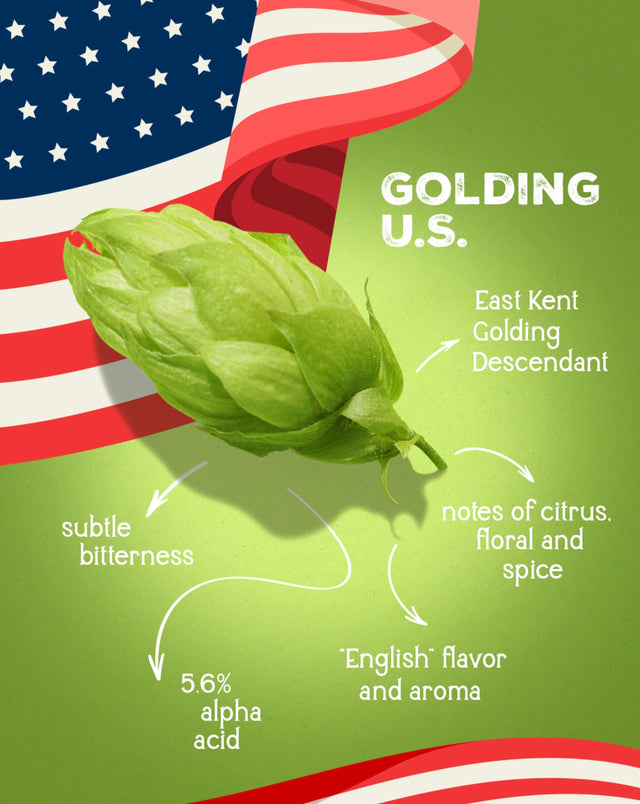 Hops Direct | Buy Hops | Beer Brewing Hops Provider