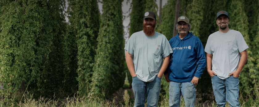 Hops Direct | Buy Hops | Beer Brewing Hops Provider