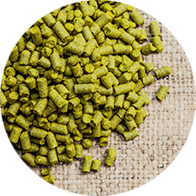 NORTHERN BREWER GR - 2024 Pellets