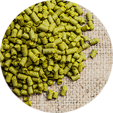 STYRIAN (SAVINJSKI) GOLDING - 2022 Pellets